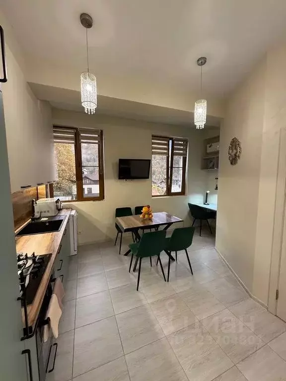 1-к кв. Краснодарский край, Сочи Красная Поляна пгт, ул. Турчинского, ... - Фото 2