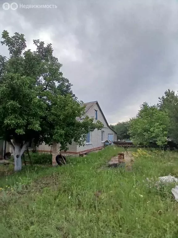 Дом в Саратовская область, Новобурасский муниципальный район, ... - Фото 1
