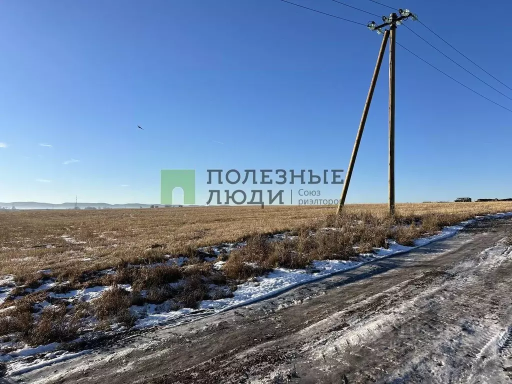 Участок в Красноярский край, Березовка городское поселение, Шумково ... - Фото 1