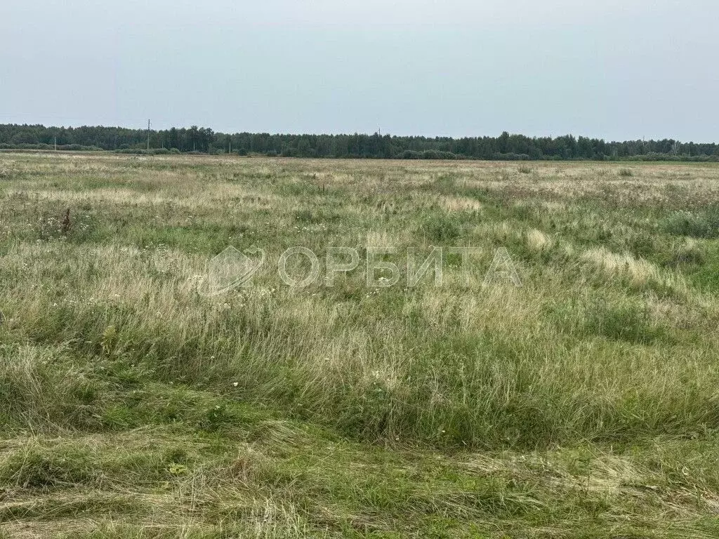 Участок в Тюменская область, Тюменский муниципальный округ, д. ... - Фото 1