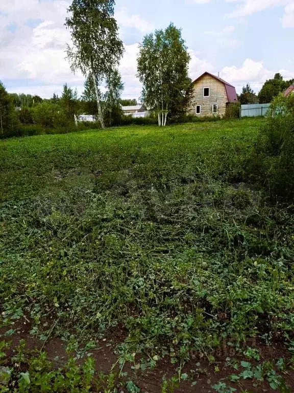 Участок 8,5 сот. (ИЖС) - Фото 1