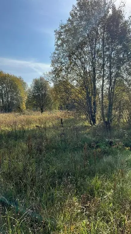 Участок в Тверская область, Кимрский муниципальный округ, д. Пекуново  ... - Фото 0