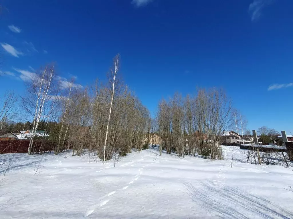 Участок в Московская область, Солнечногорск городской округ, д. ... - Фото 1