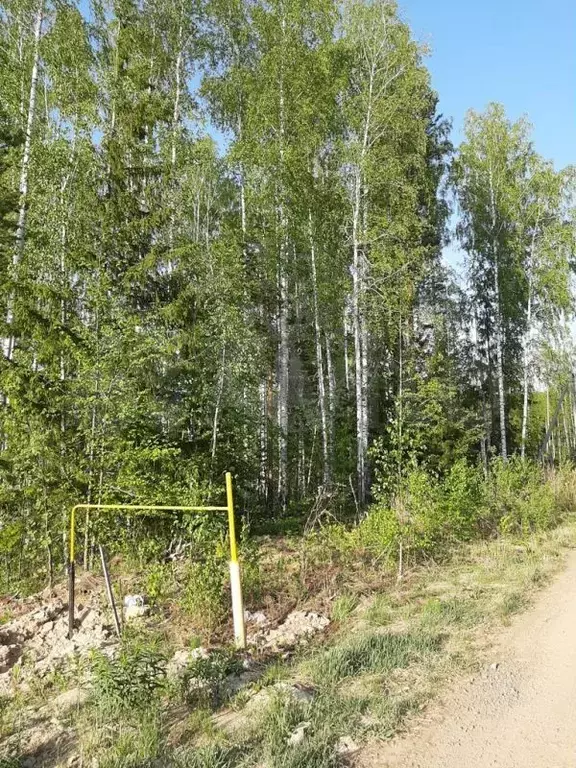 Участок 23,96 га (СНТ, ДНП) - Фото 1
