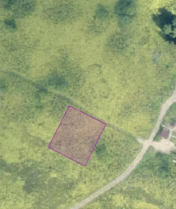 Участок в Ленинградская область, Волосовский район, Бегуницкое с/пос, ... - Фото 1