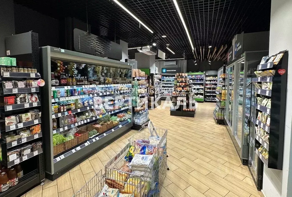 Помещение свободного назначения в Москва Веерная ул., 22К1 (145 м) - Фото 0