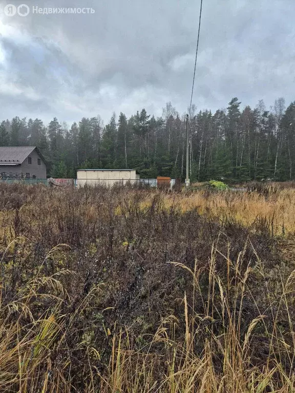 Участок в село Мамонтово (10 м) - Фото 2