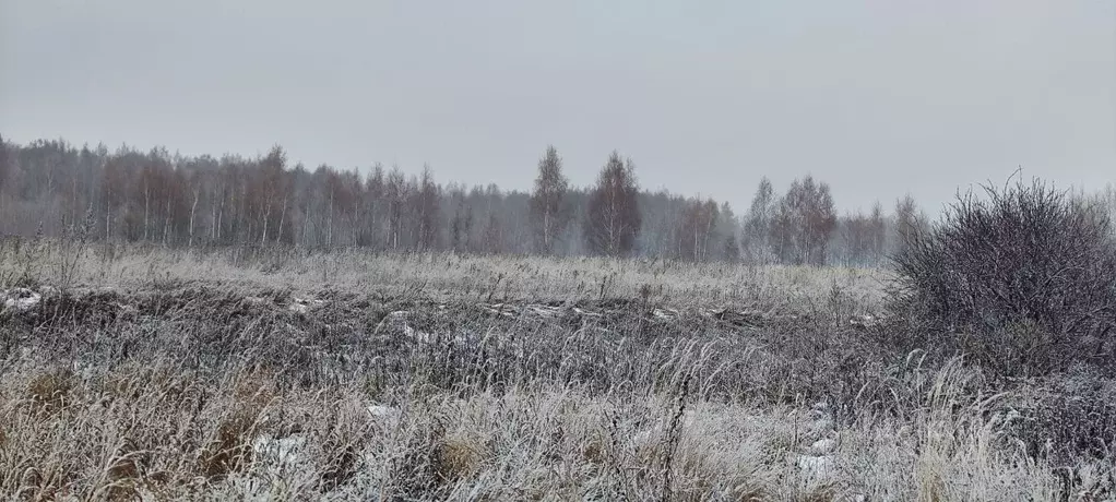 Участок в Московская область, Кашира городской округ, д. Никулино  ... - Фото 0