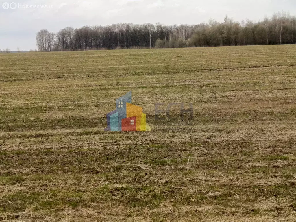 Участок в Тульская область, городской округ Тула, посёлок Рассвет ... - Фото 2