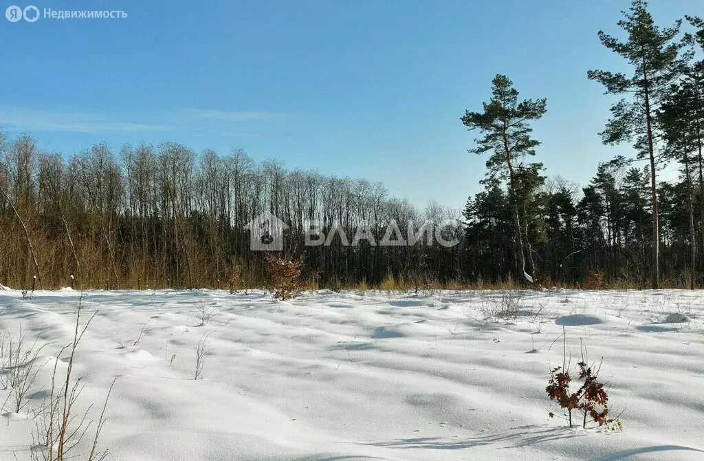 Участок в Ломоносовский район, Русско-Высоцкое сельское поселение, ... - Фото 1