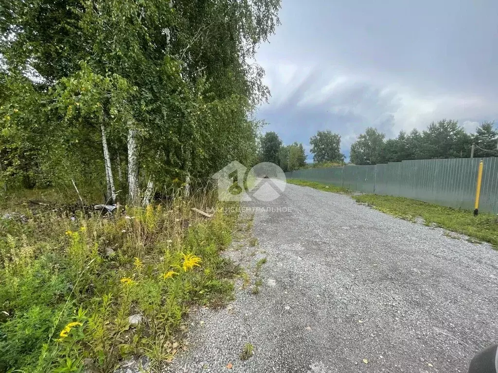 Участок в Новосибирская область, Искитимский район, Мичуринский ... - Фото 2