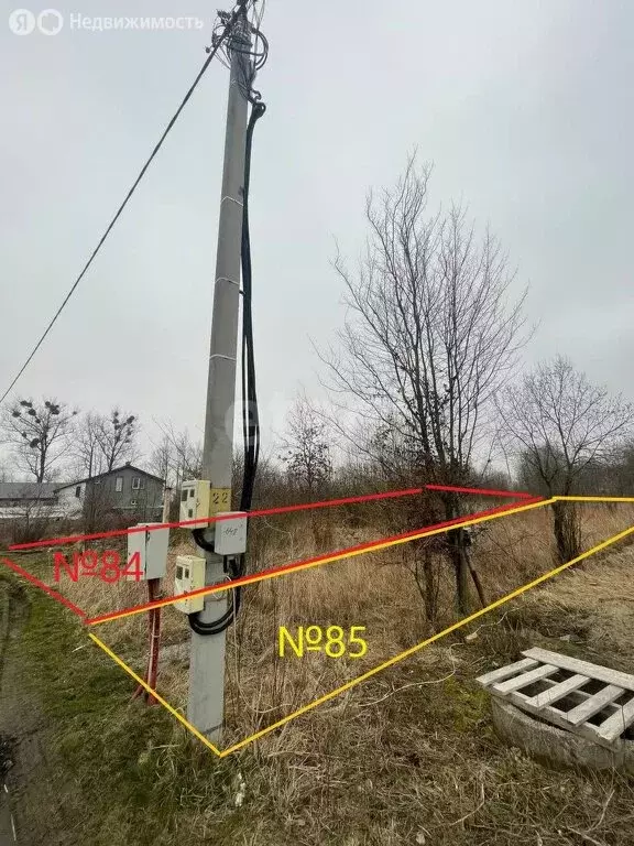 Участок в Калининградская область, Зеленоградский муниципальный округ, ... - Фото 1