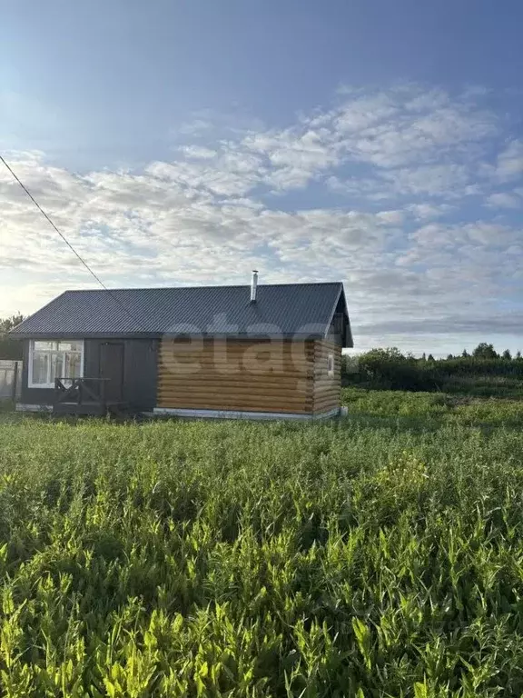 Дом в Тюменская область, Нижнетавдинский муниципальный округ, Душевное ... - Фото 1