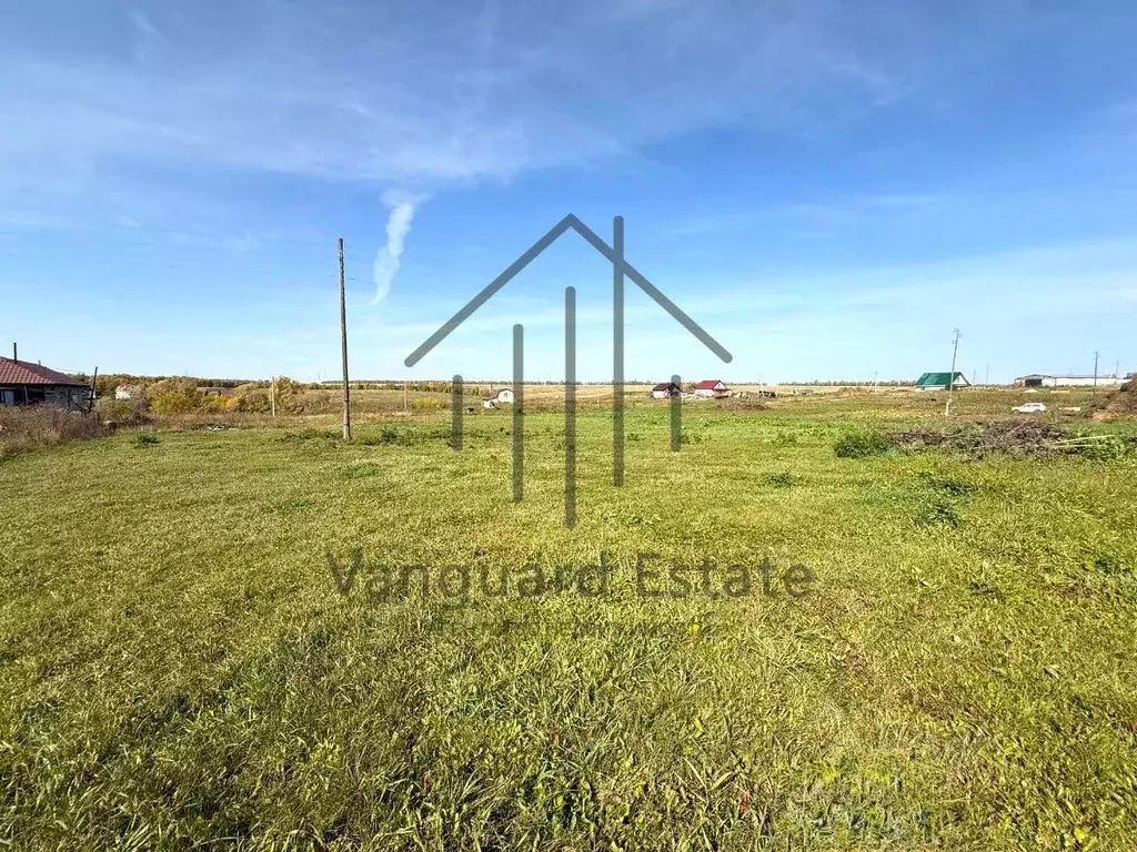 Участок в Алтайский край, Павловский район, с. Шахи ул. Малиновая ... - Фото 1