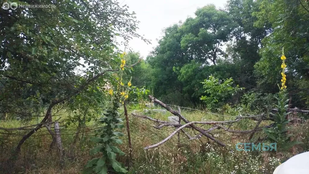 Участок в Гизель, улица Калинина, 18 (9 м) - Фото 1