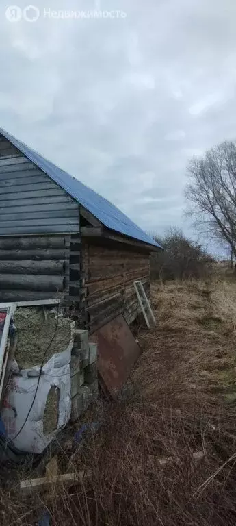 Участок в Новгородская область, Шимское городское поселение, деревня ... - Фото 1