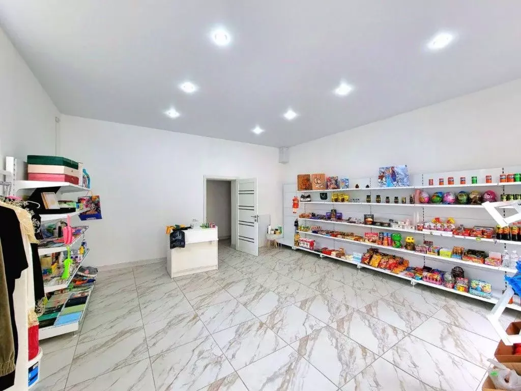 Офис в Кабардино-Балкария, Нальчик ул. Солнечная (90 м) - Фото 2