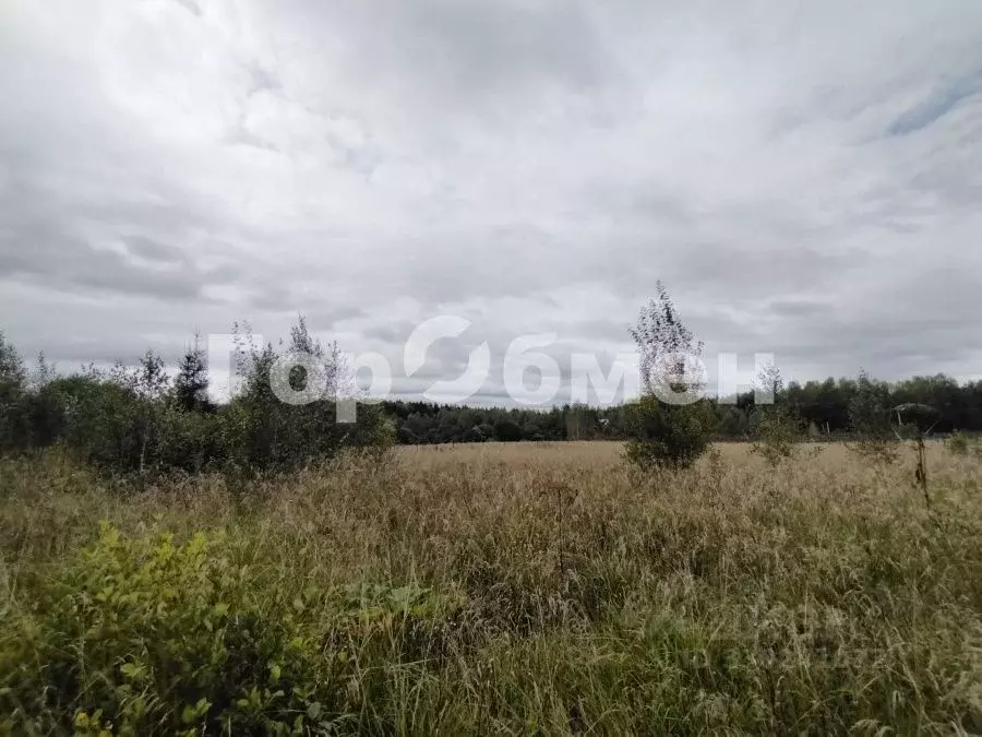 Участок в Московская область, Пушкинский городской округ, д. Якшино  ... - Фото 2
