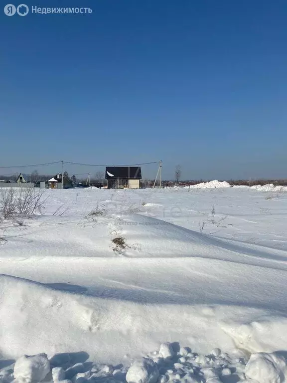 Участок в Кубовинский сельсовет, СНТ Сады Приобья (12 м) - Фото 1