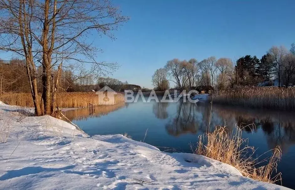 Участок в Владимирская область, Камешковский район, Сергеихинское ... - Фото 1