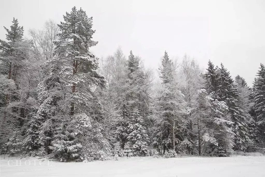 Участок в Московская область, Одинцовский городской округ, пос. ... - Фото 2