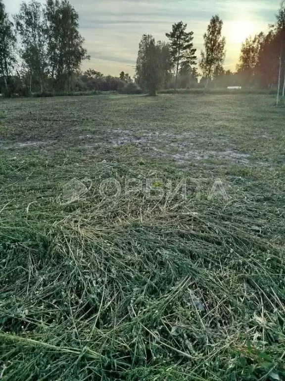 Участок в Тюменская область, Нижнетавдинский район, Строитель ТСН  ... - Фото 1