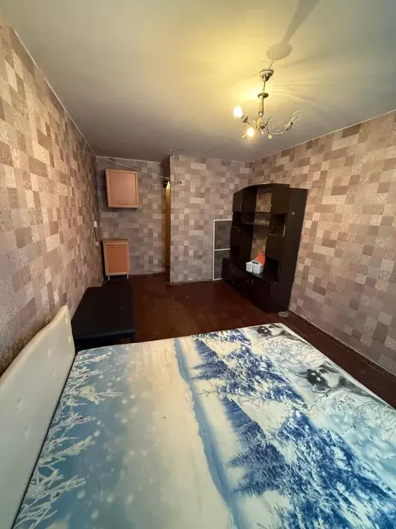 Студия Кемеровская область, Кемерово Инициативная ул., 5 (23.0 м) - Фото 1