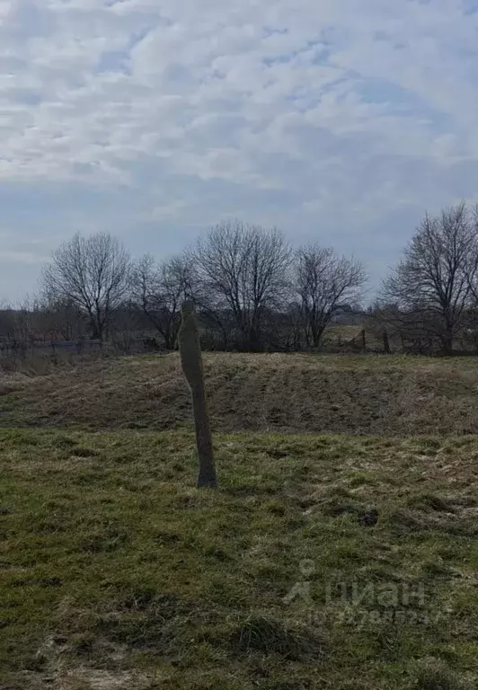 Участок в Калининградская область, Гурьевский муниципальный округ, ... - Фото 2