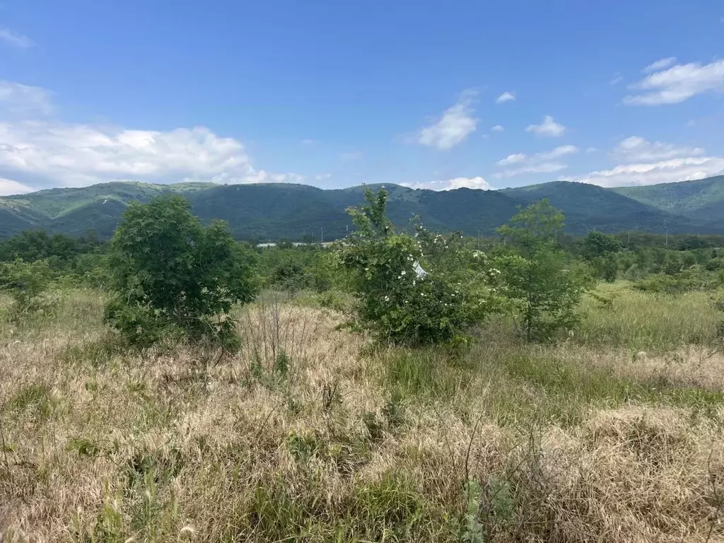 Участок в Краснодарский край, Геленджик городской округ, с. ... - Фото 0