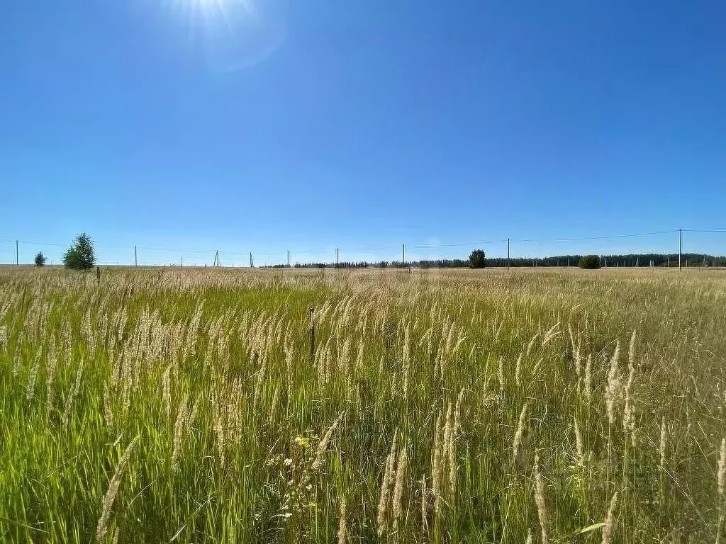 Участок в Татарстан, Верхнеуслонский район, Набережно-Морквашское ... - Фото 1