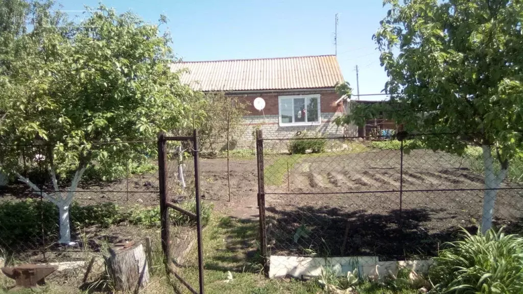 село гремячка саратовской области. саратовская обл село гремячка. гремячка саратовская область новобурасский район. гремячка новобурасский район. гремячка саратовская область новобурасский район.