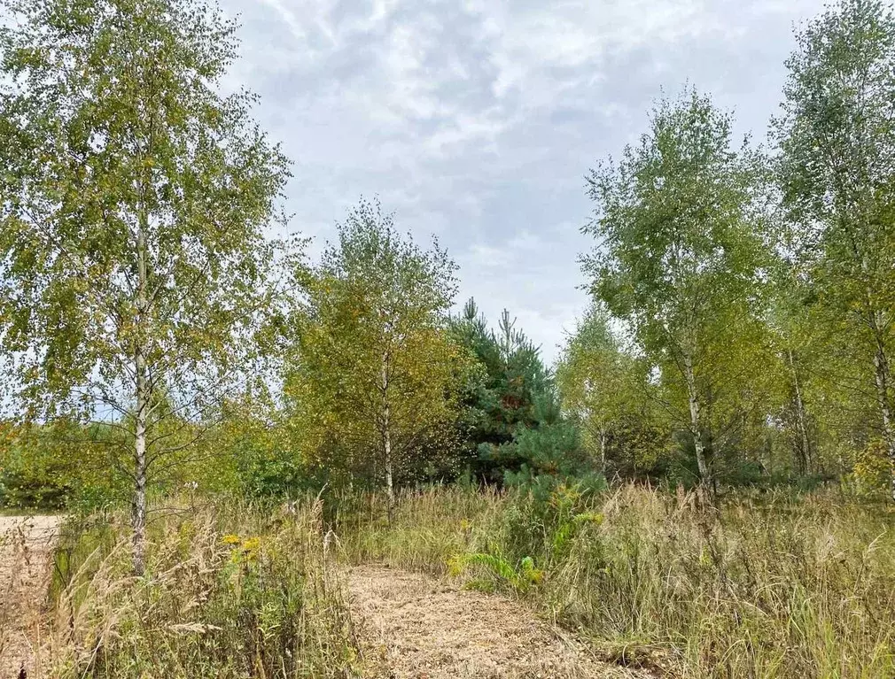 Участок в Калужская область, Тарусский муниципальный округ, Похвиснево ... - Фото 1