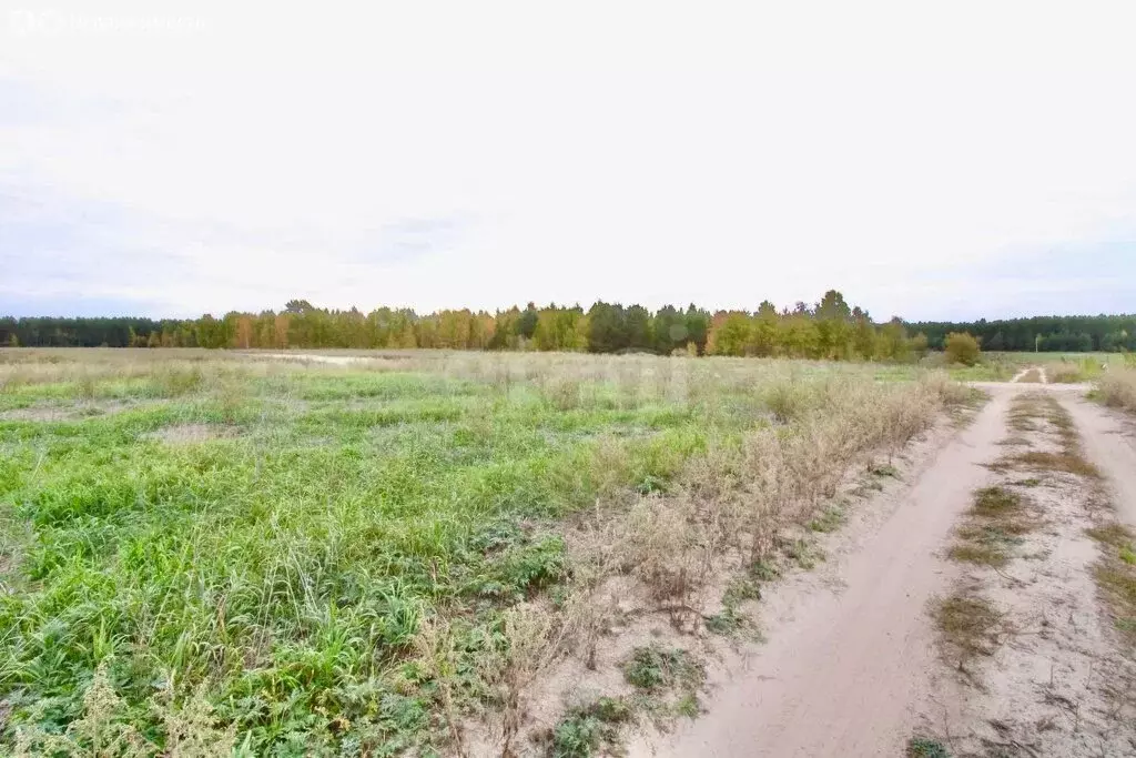 Участок в Тюменский район, деревня Криводанова (11 м) - Фото 0