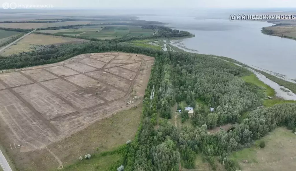 Участок в Илекский район, Димитровский сельсовет (6.2 м) - Фото 1