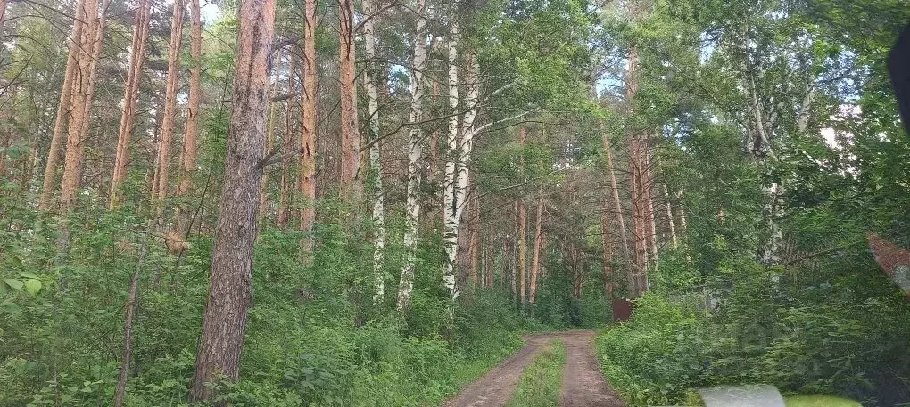 Участок в Челябинская область, Увельский муниципальный округ, с. ... - Фото 2