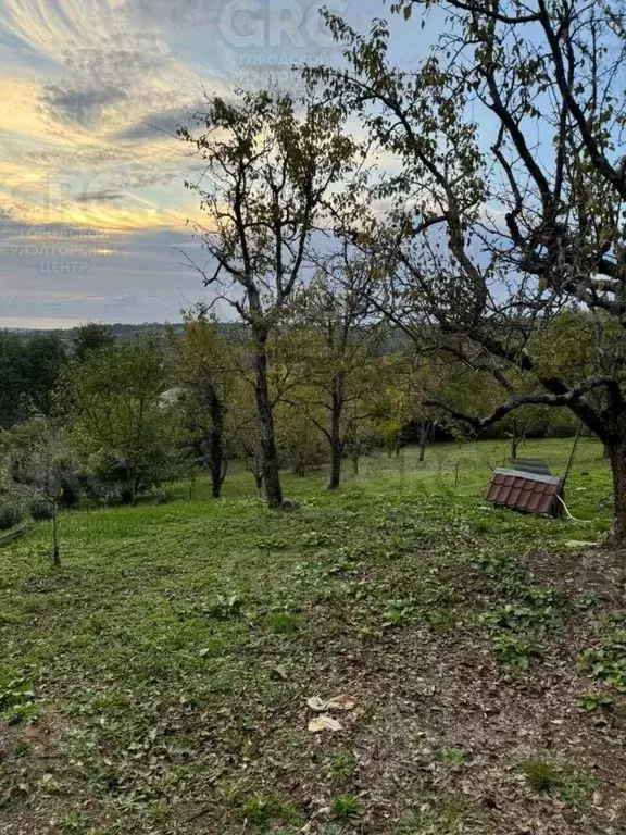 Участок в Краснодарский край, Сочи городской округ, с. Нижняя Шиловка ... - Фото 1