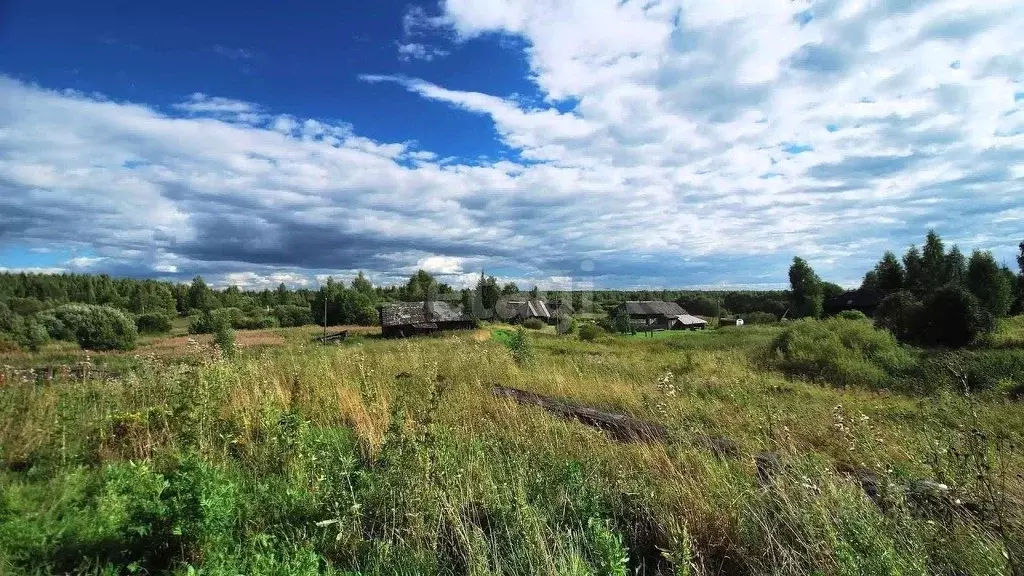 Участок в Костромская область, Красносельский район, Шолоховское ... - Фото 0