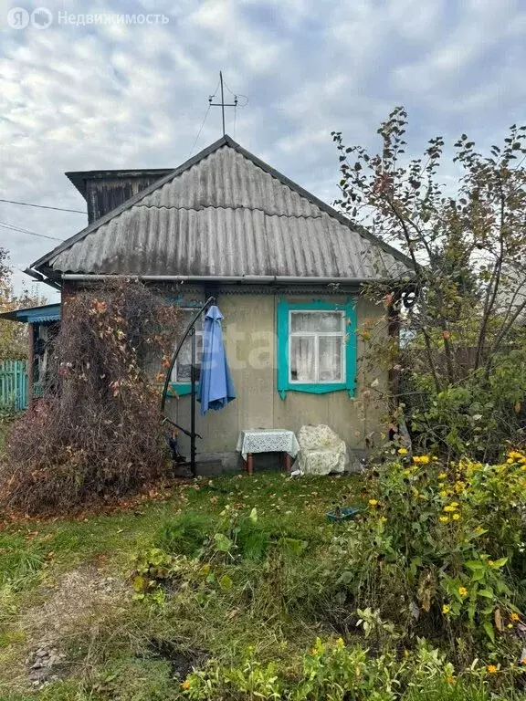 Дом в Купинский район, посёлок Советский (25 м) - Фото 1