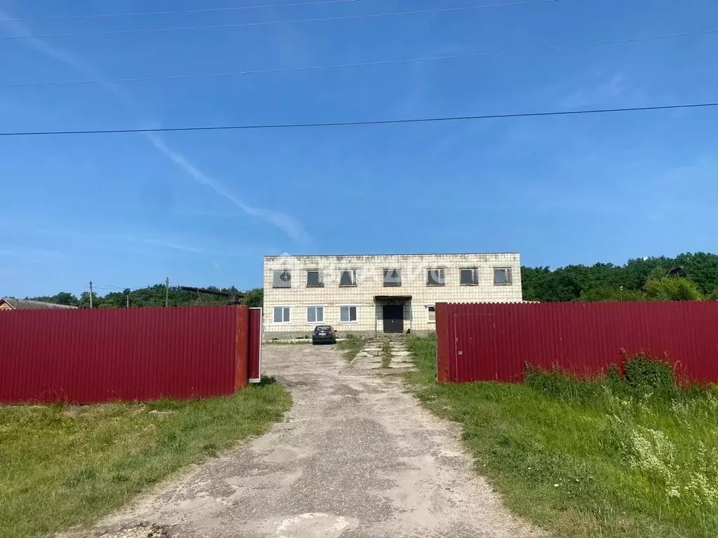 Помещение свободного назначения в Пензенская область, Городище ул. 50 ... - Фото 1