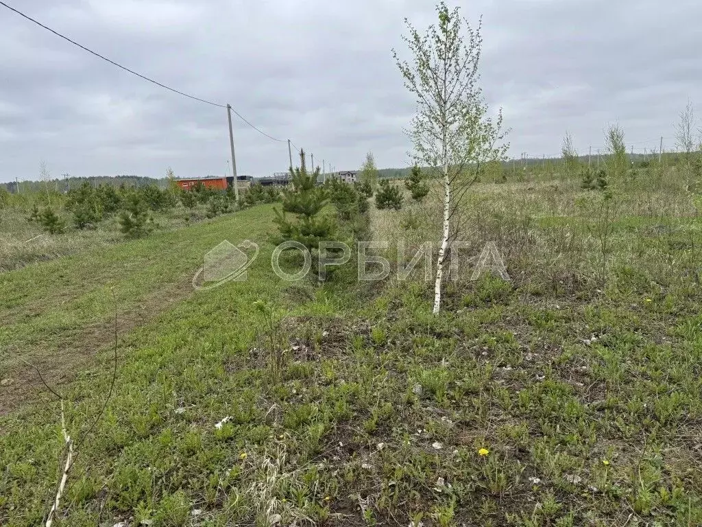 Участок в Тюменская область, Тюменский муниципальный округ, с. Кулига, ... - Фото 1