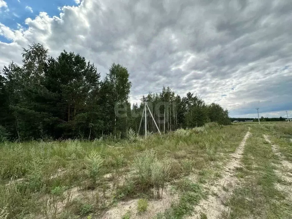 Участок в Тюменская область, Тюмень  (7.0 сот.) - Фото 2