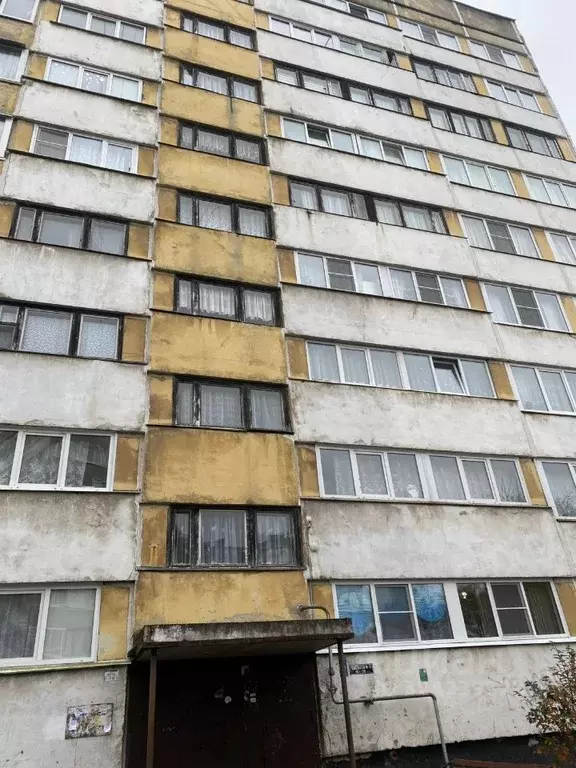 Комната Ленинградская область, Кингисепп ул. Химиков, 4 (13.1 м) - Фото 1