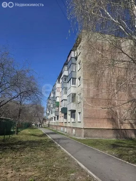 1-комнатная квартира: станция Евсино, улица Мира, 4 (29.3 м) - Фото 1