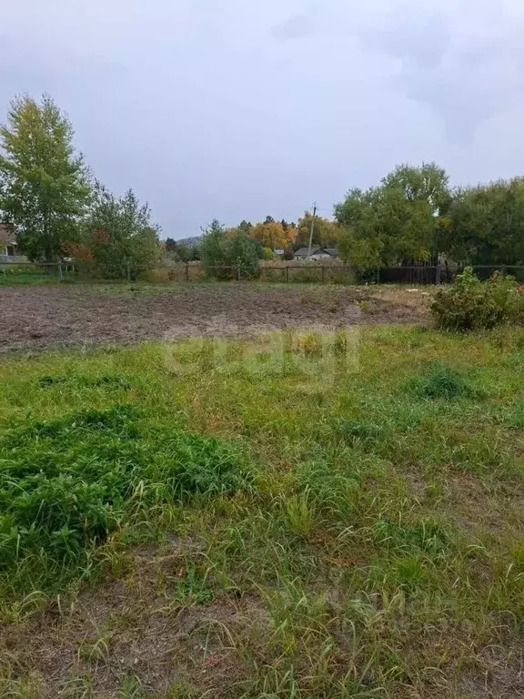 Участок в Амурская область, Благовещенск городской округ, с. Белогорье ... - Фото 1