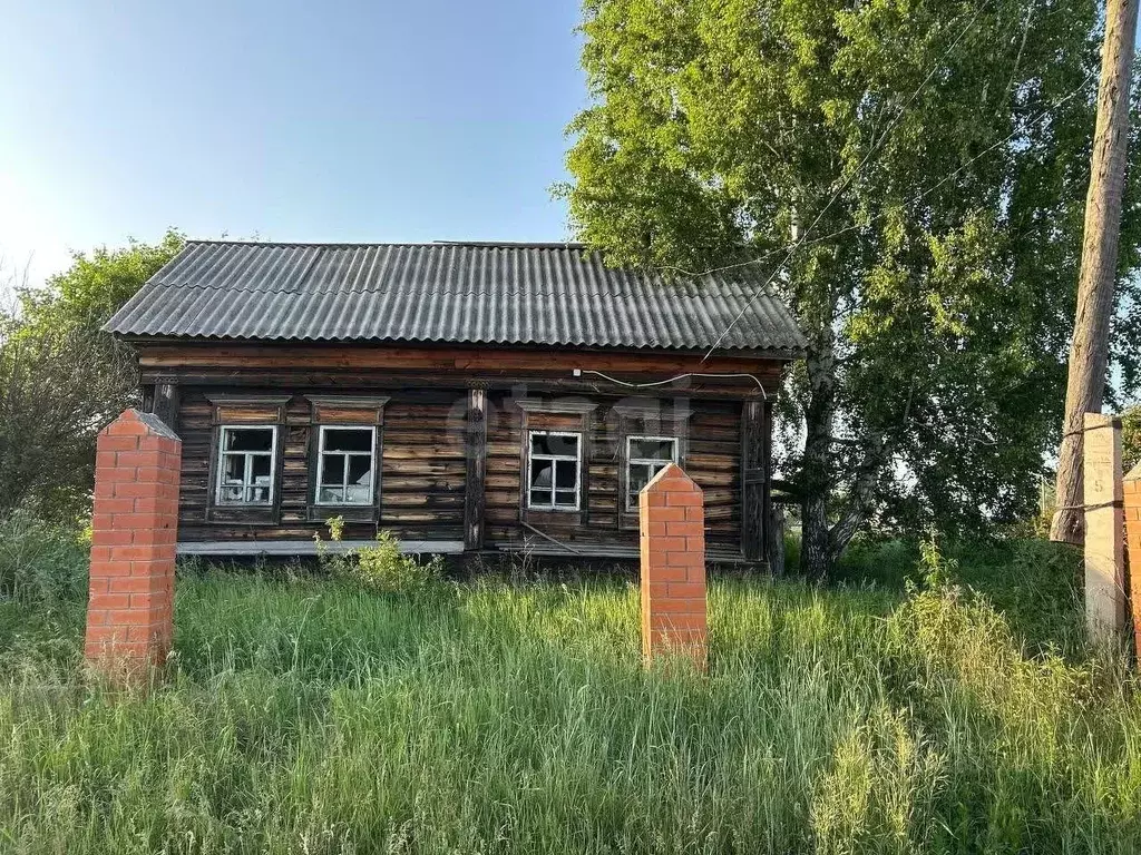 Участок в Курганская область, Белозерский муниципальный округ, с. ... - Фото 1