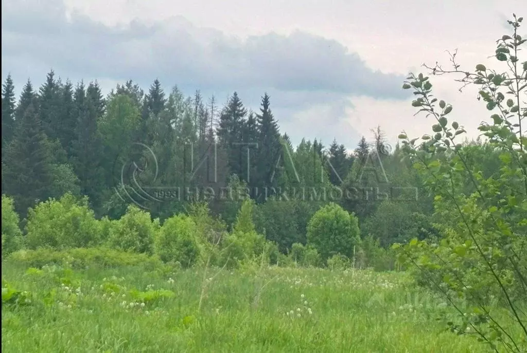 Участок в Ленинградская область, Гатчинский район, д. Новое Колено 2 ... - Фото 1