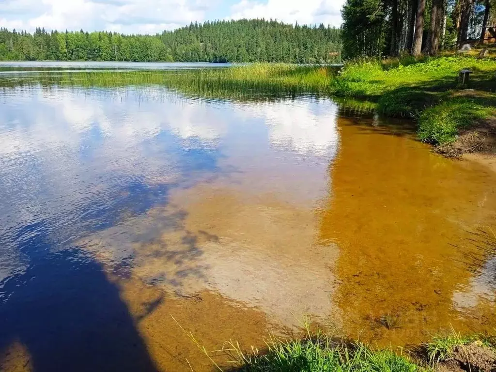 Участок в Карелия, Лахденпохский муниципальный округ, пос. Сикопохья  ... - Фото 1