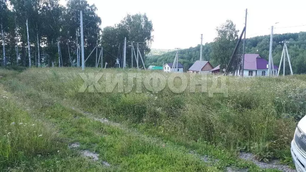 Участок в Новосибирская область, Новосибирский район, Раздольненский ... - Фото 2
