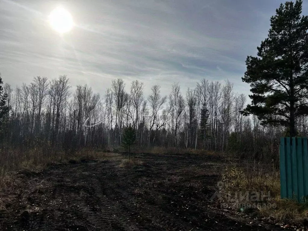 Участок в Тюменская область, Тюменский район, Нива СНТ ул. 2-я ... - Фото 1