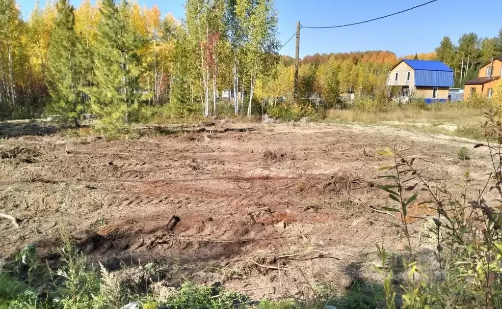 Участок в Ханты-Мансийский АО, Ханты-Мансийск Светлана СОТ,  (6.2 ... - Фото 1